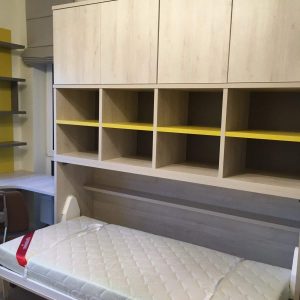 Folding-bed-closet