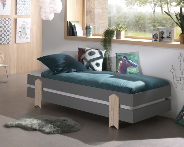 lova-mažoms-erdvėms-monoideja-lova